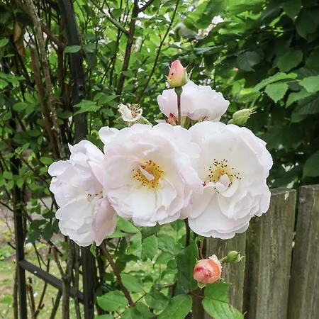 2 Whinstone Dom wakacyjny